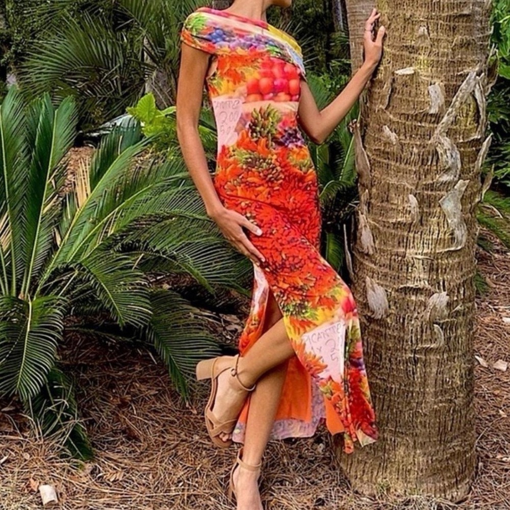Zara Fruit Market Mesh Maxi Dress Cowl Neck Tropical Print Side Slit Small a5